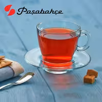 ست فنجان و نعلبکی پاشاباغچه مدل آکوا Aqua ساخت ترکیه کد 95040 در بسته 12 عددی