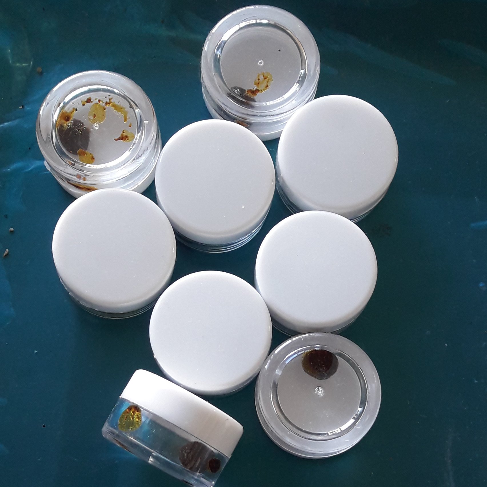 ترکیب گیاهی جامع رضوی