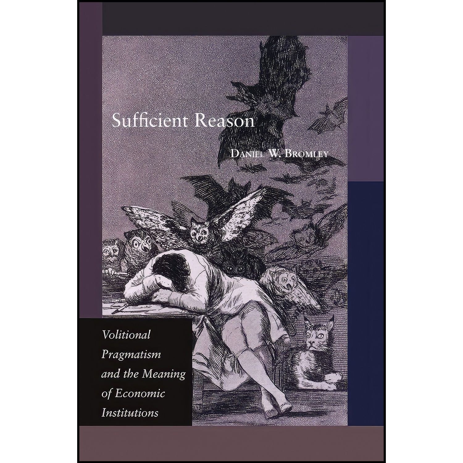 کتاب زبان اصلی Sufficient Reason اثر Daniel W Bromley