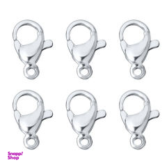 قفل طوطی مدل BRKTS6 بسته 6 عددی