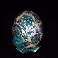 تخم شتر مرغ