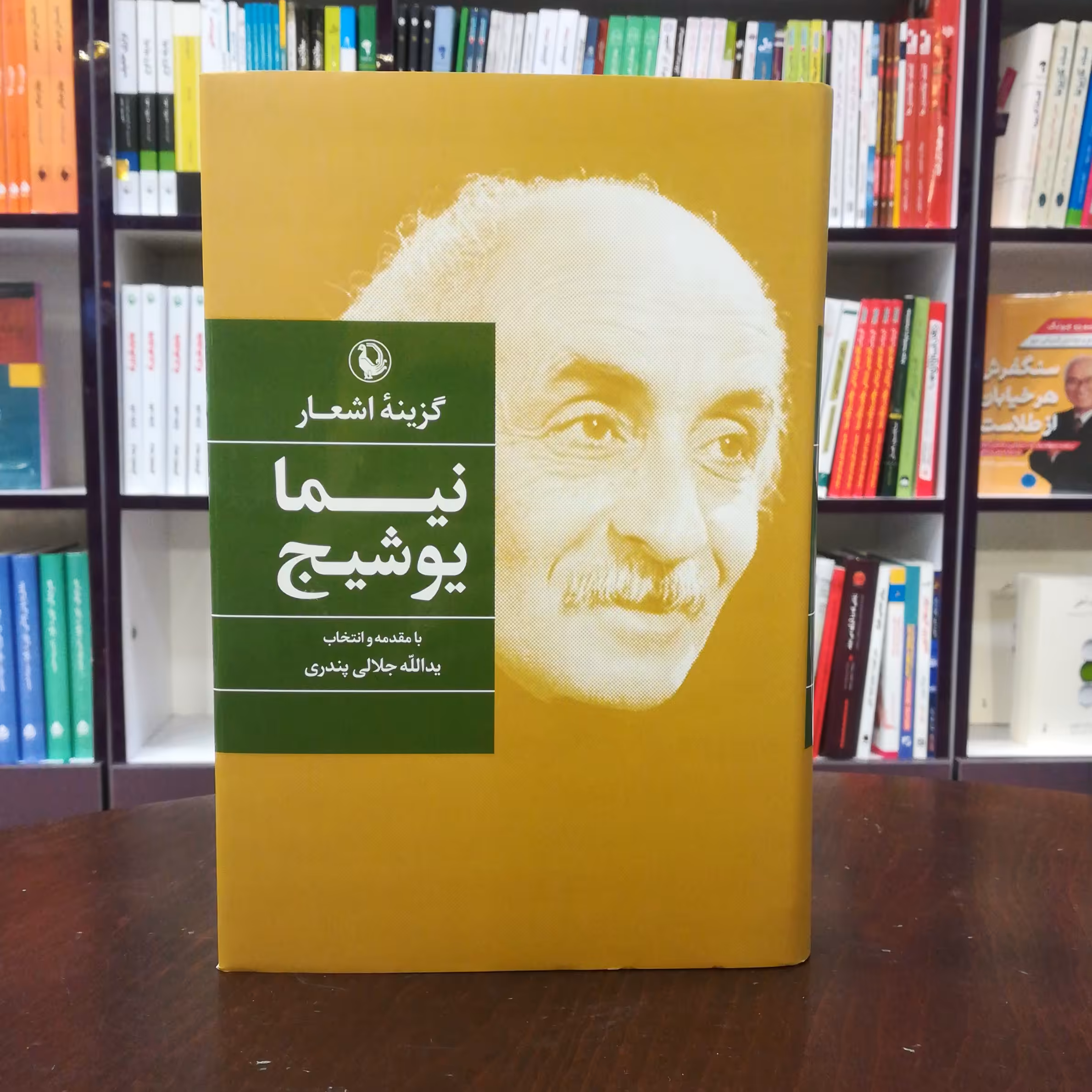 کتاب گزینه اشعار نیما یوشیج نشر مروارید (گالینگور)