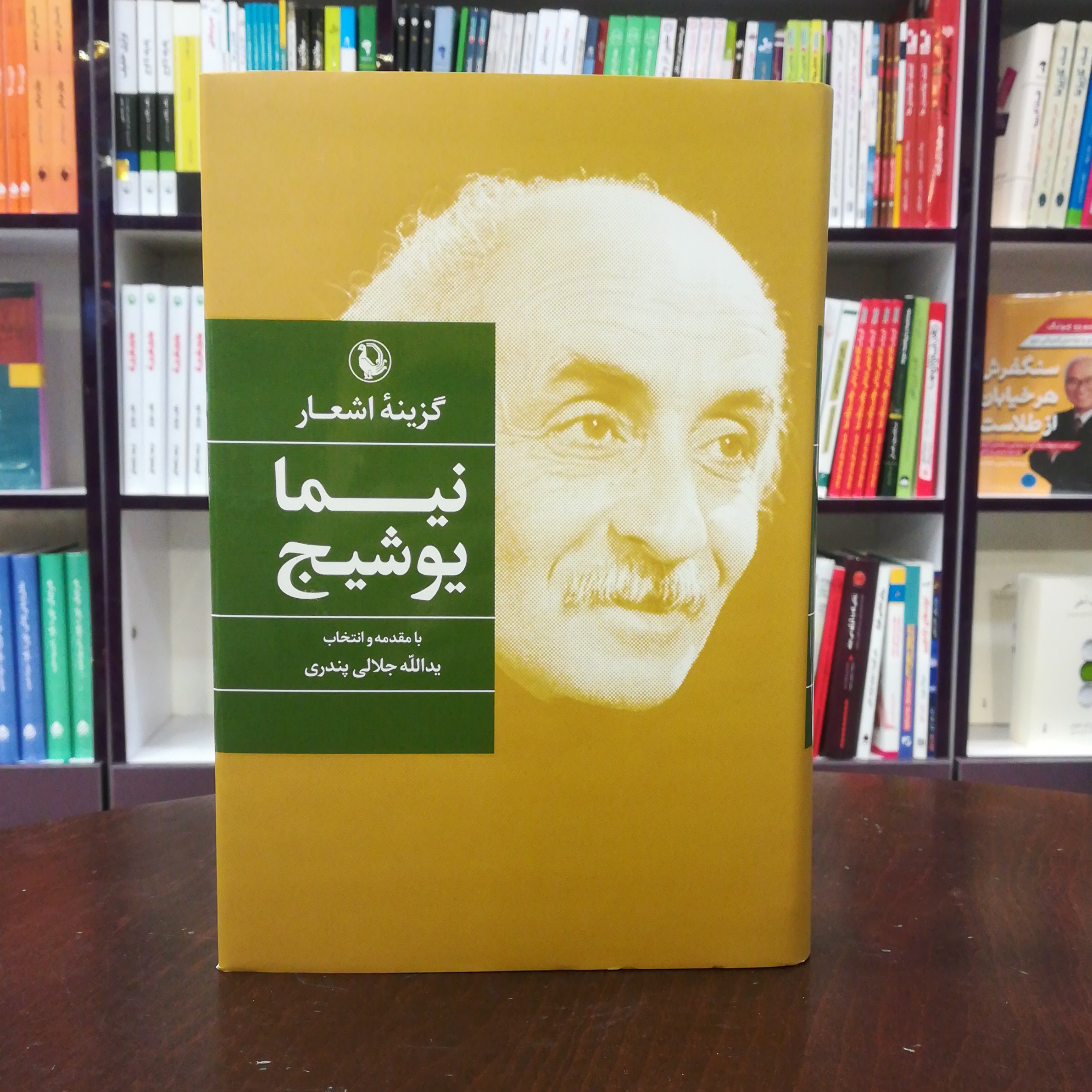 کتاب گزینه اشعار نیما یوشیج نشر مروارید (گالینگور)