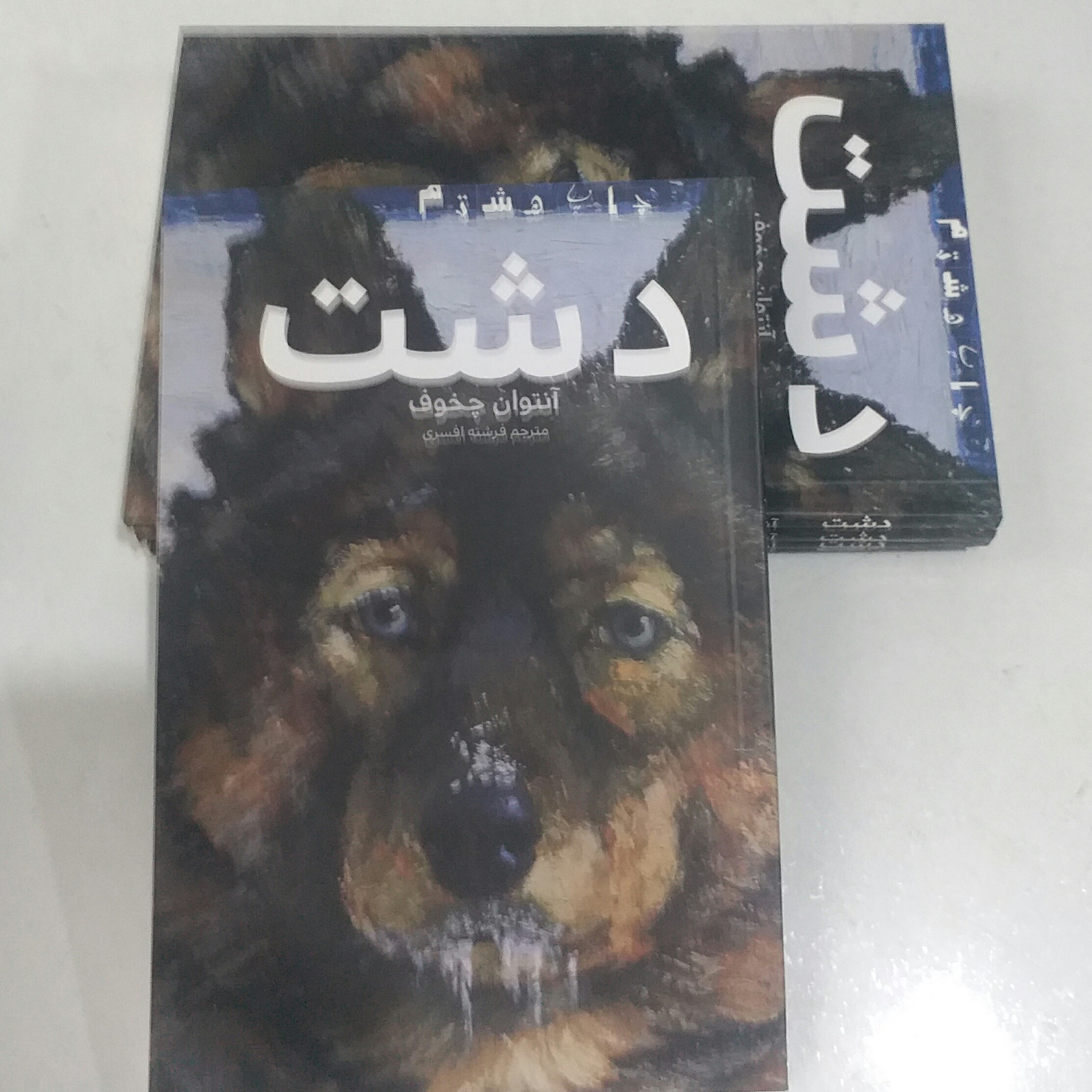 کتاب دشت اثر آنتوان چخوف