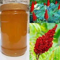 عسل سماق (نه نه کوکب)