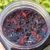 مربا تمشک جنگلی