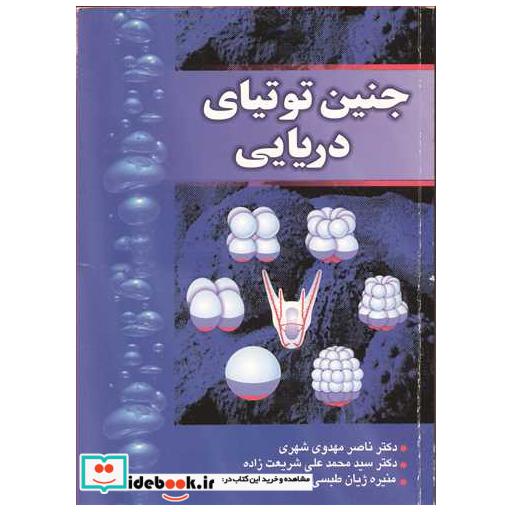 جنین توتیای دریایی