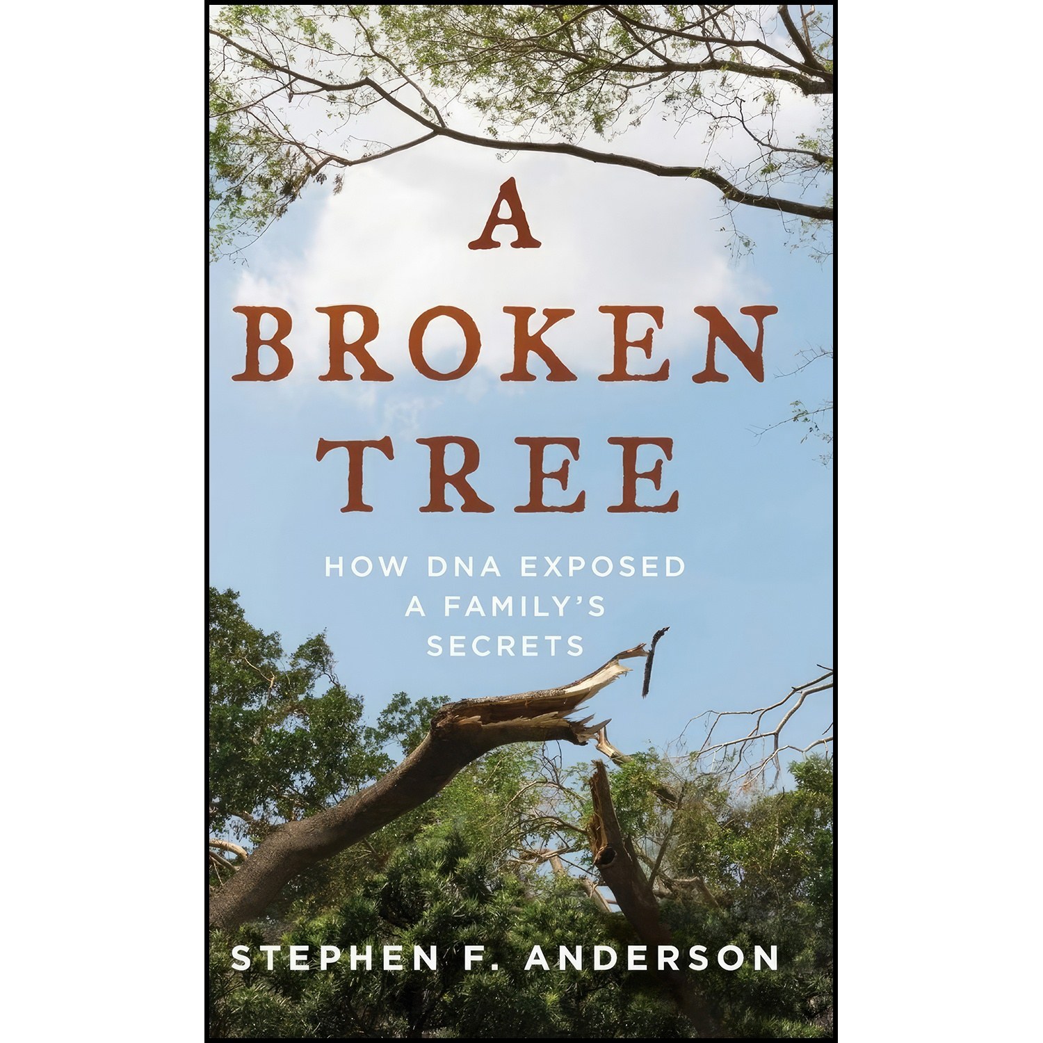 کتاب زبان اصلی A Broken Tree اثر Stephen F Anderson