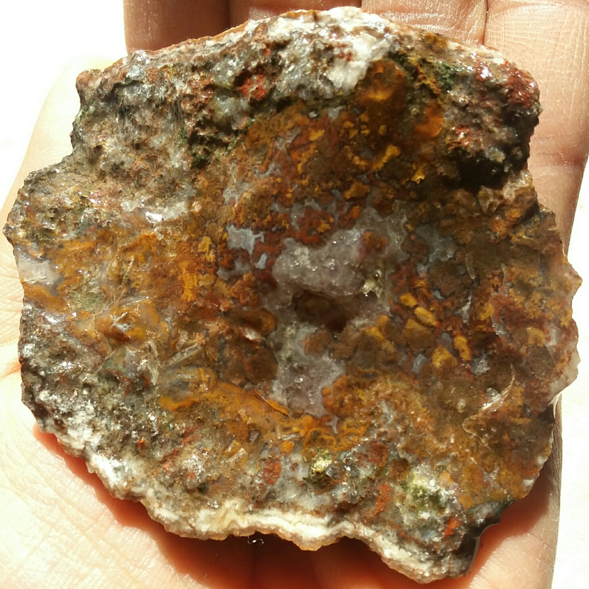 سنگ راف شجر منظره 7رنگ دیددددنی کاملا طبیعی شاهکار خلقت خااااااص زیباااااااا