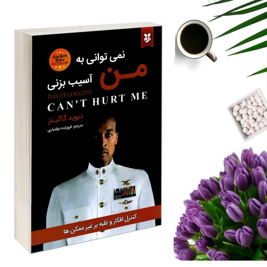کتاب نمی توانی به من آسیب بزنی اثر دیوید گاگینز انتشارات نیک فرجام