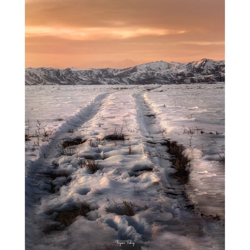 	 تابلو شاسی کد benpics-0069 (ابعاد 60x90 - شاسی 8 میل-کاغذ سیلک-اصالت تصویر)