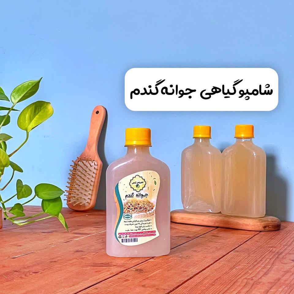 شامپو گیاهی جوانه گندم