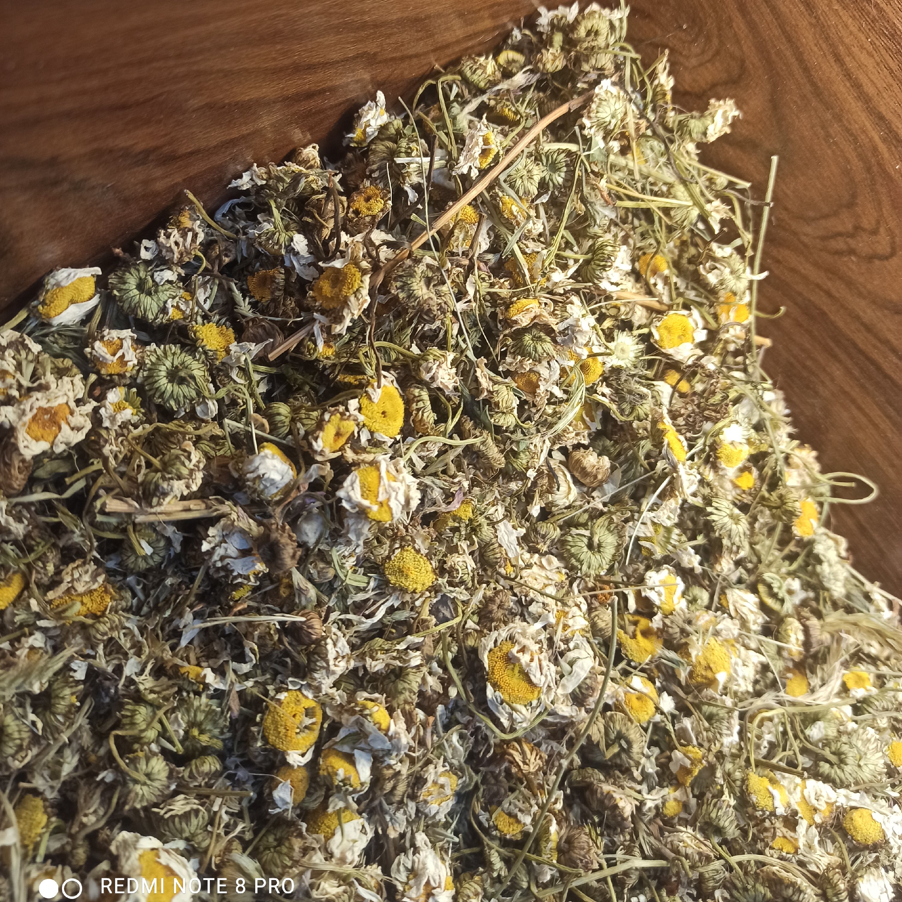بابونه اردبیلی 100گرم(گل بابونه)