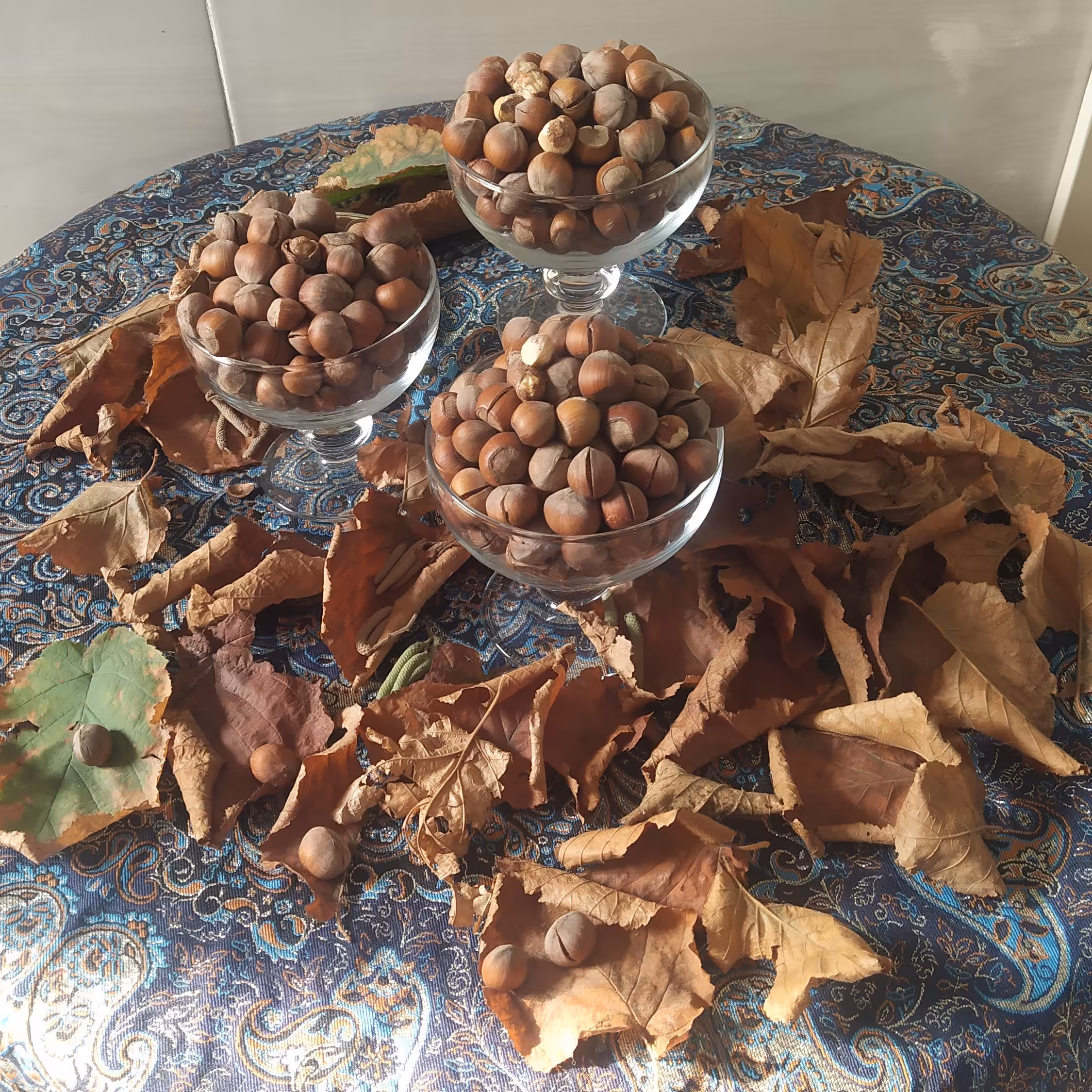 فندق خندان خام(خشک) اشکور محصول 1401        100٪ارگانیک.