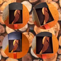 دسته کلید اسب بالدار