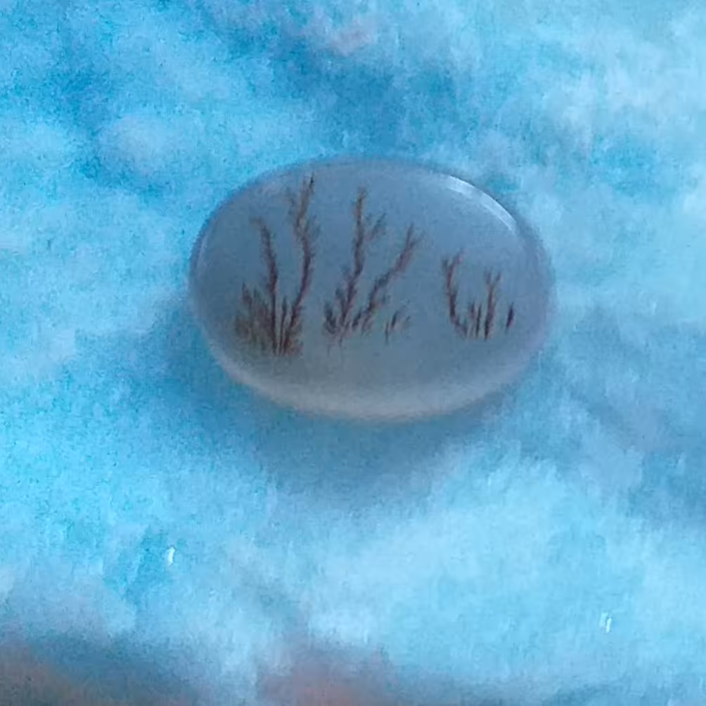 عقیق شیشه ای شجر دامغان