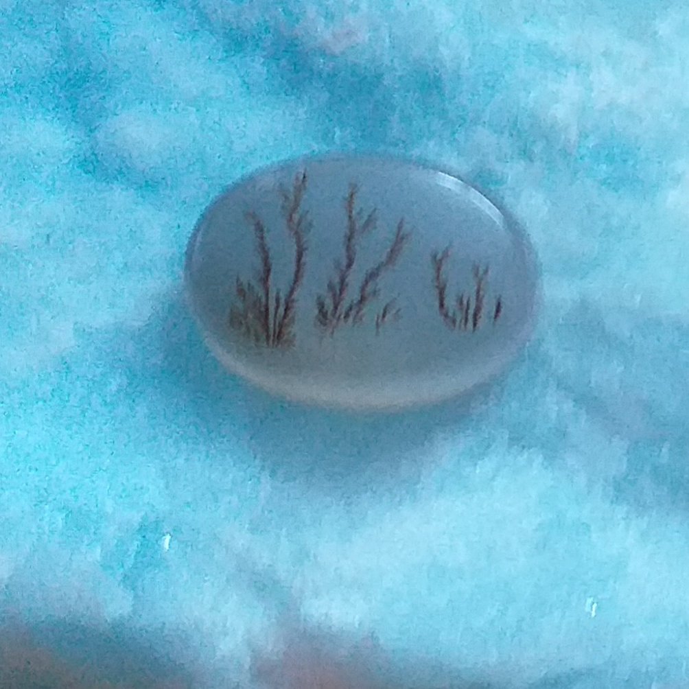 عقیق شیشه ای شجر دامغان