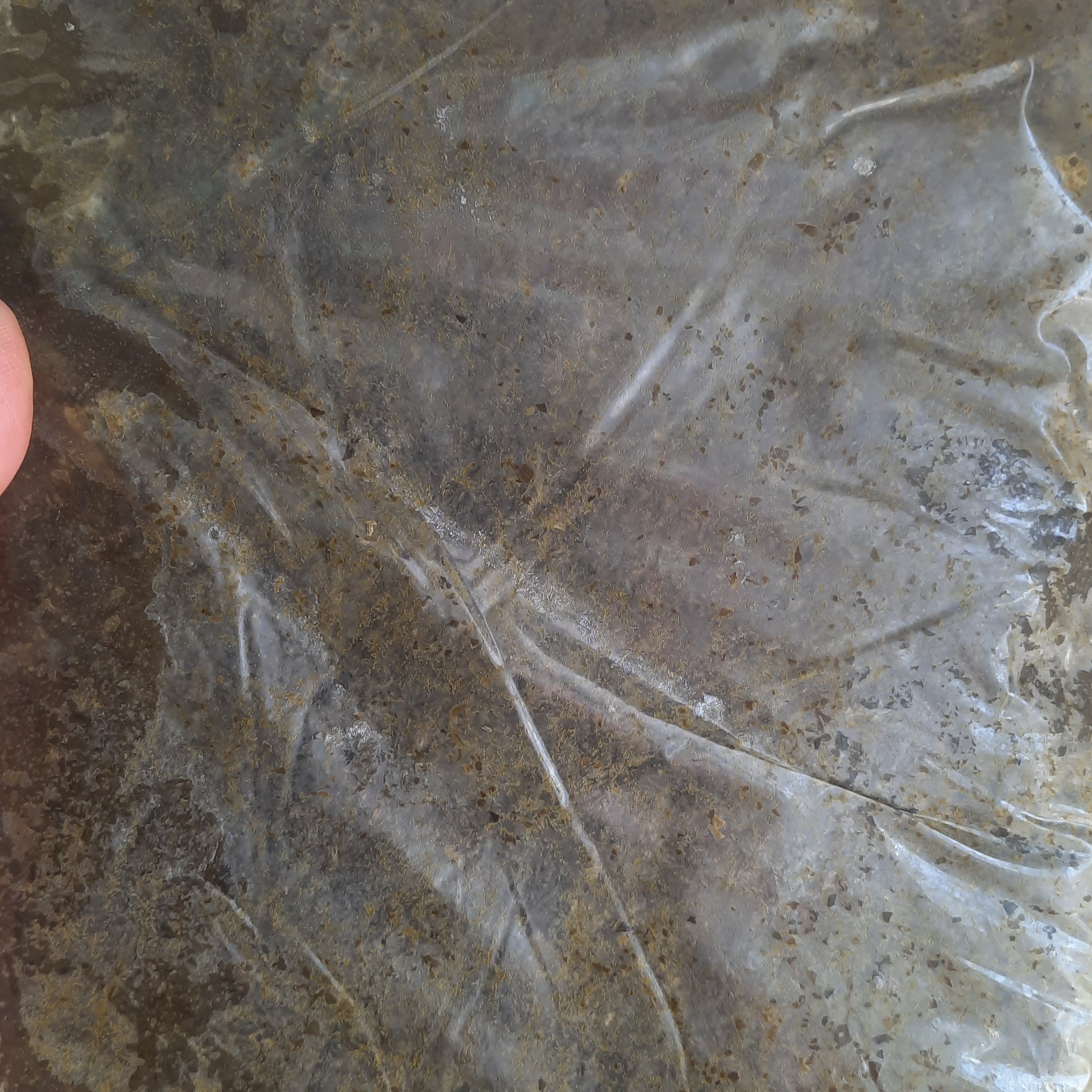 سبزی قورمه سرخ شده