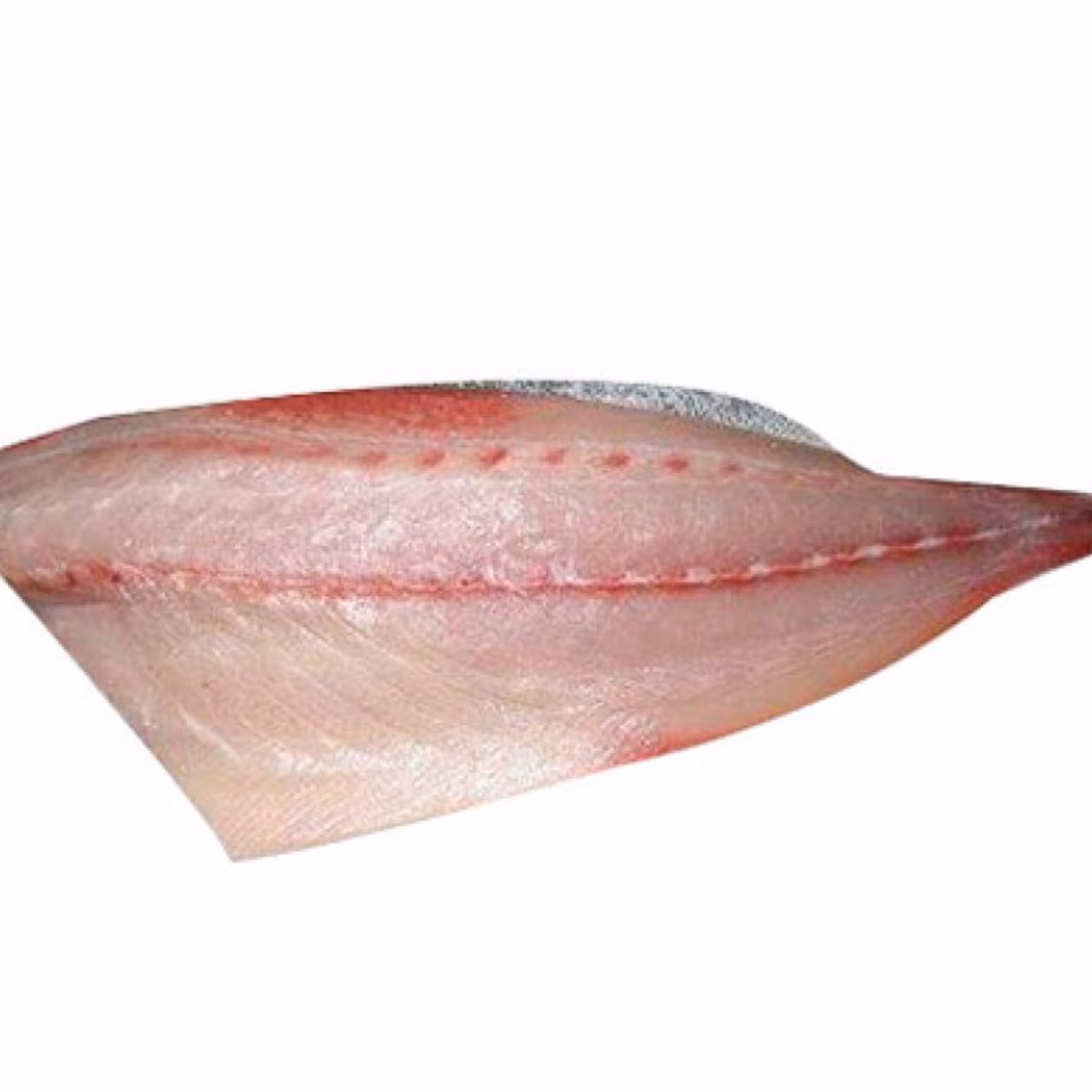 ماهی سارم تازه و صید روز -  پاک کردن رایگان