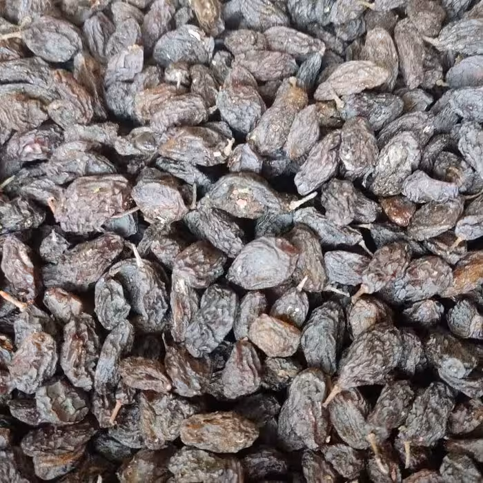 مویز ارگانیک آفتاب خشک معروف به فخری که در آذربایجان معروف هست 