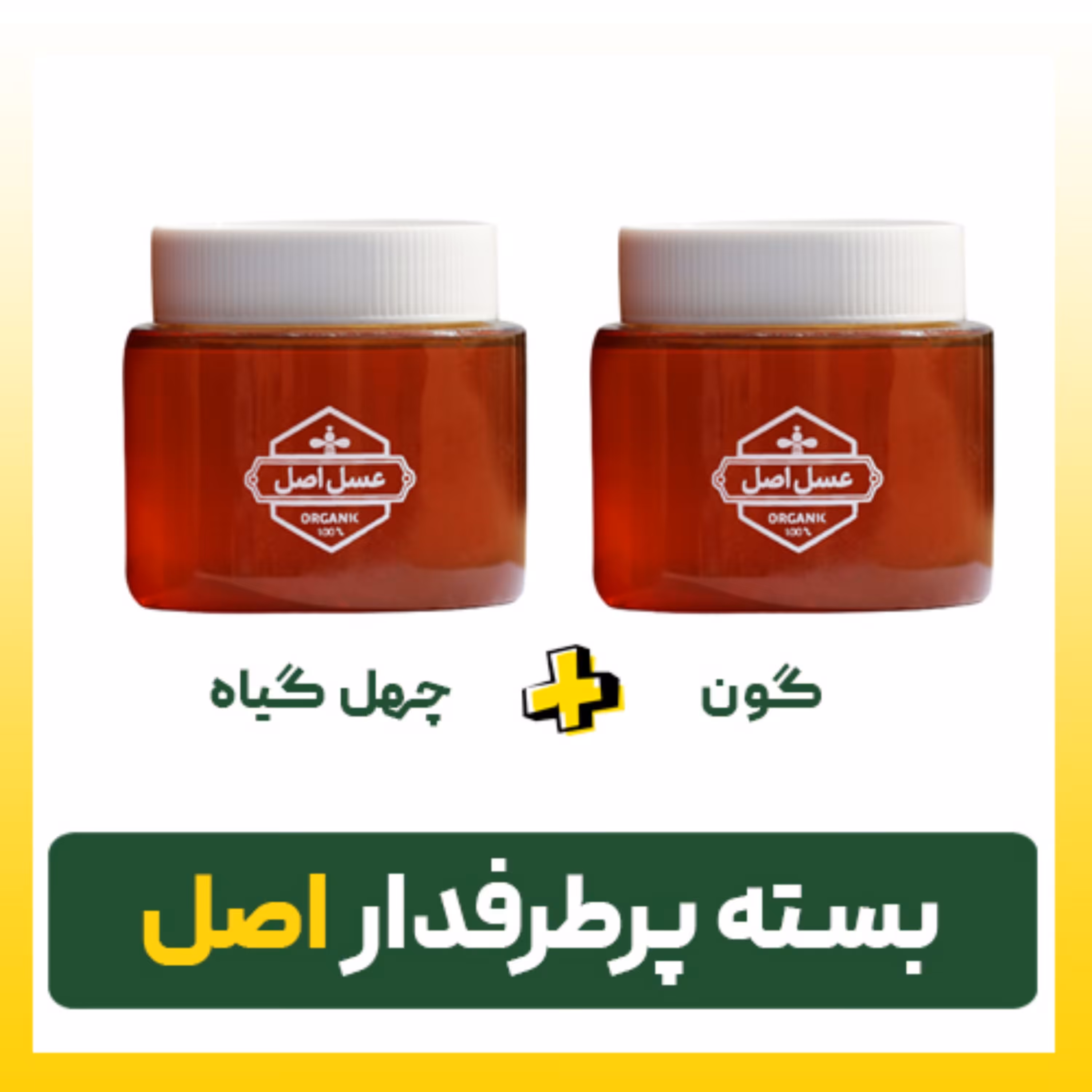 بسته پرطرفدار اصل (کوچک)