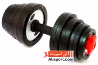 دمبل قابل تنظیم بدون دسته رکورد 10 کیلویی یک جفت