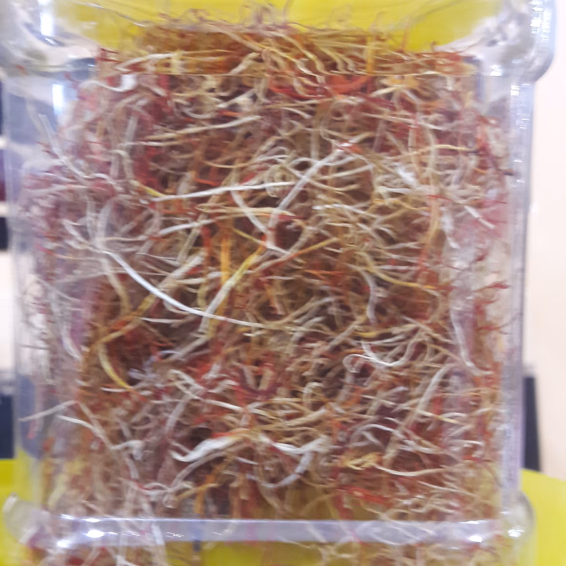 ریشه زعفران نگین پنج مثقالی 23 گرم