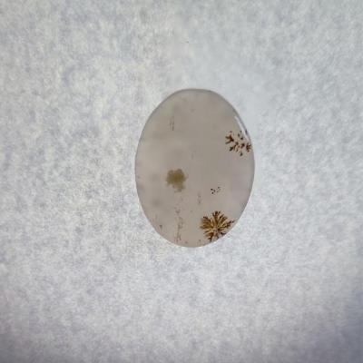 سنگ شجر کد 40013