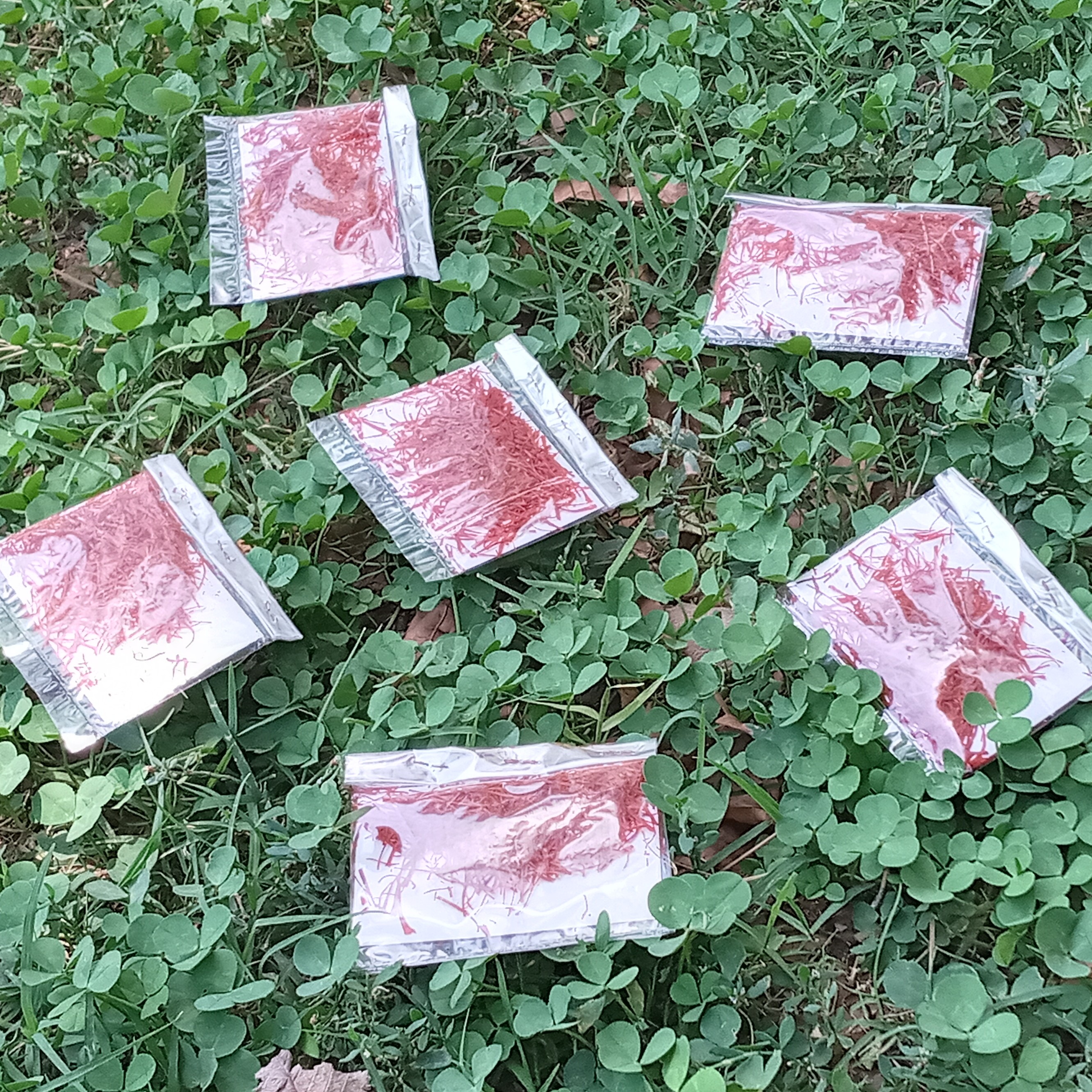 زعفران خوشبو و رنگ عالی احمد آباد 