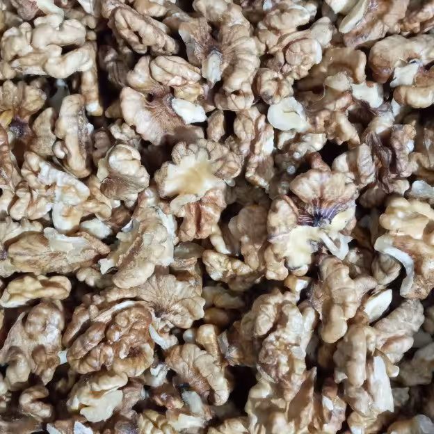 مغز گردو سفید اذربایجان