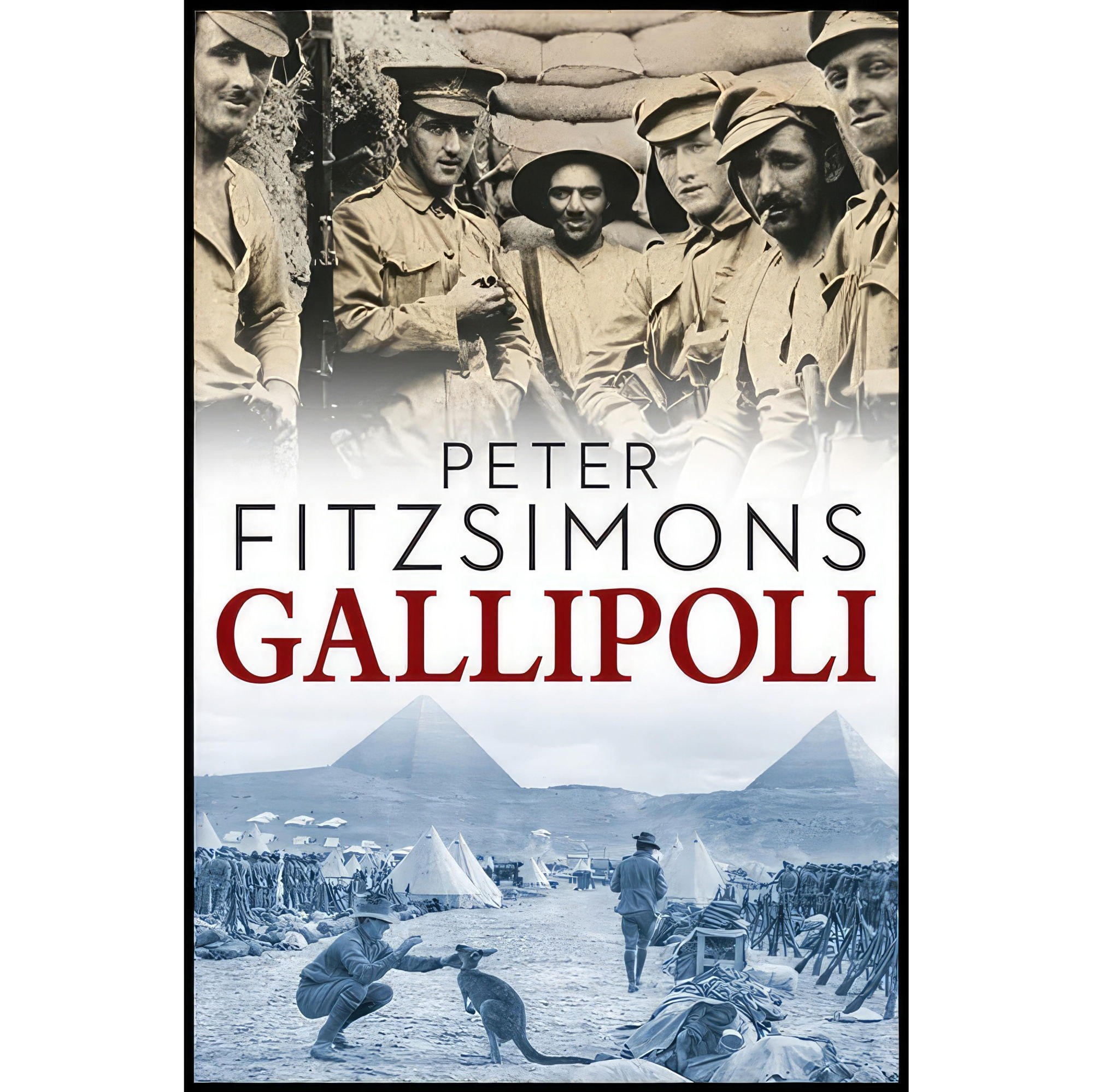 کتاب زبان اصلی Gallipoli اثر Peter FitzSimons