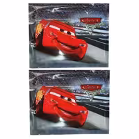 دستمال کاغذی جیبی 10 برگ مدل مکویین بسته 2 عددی