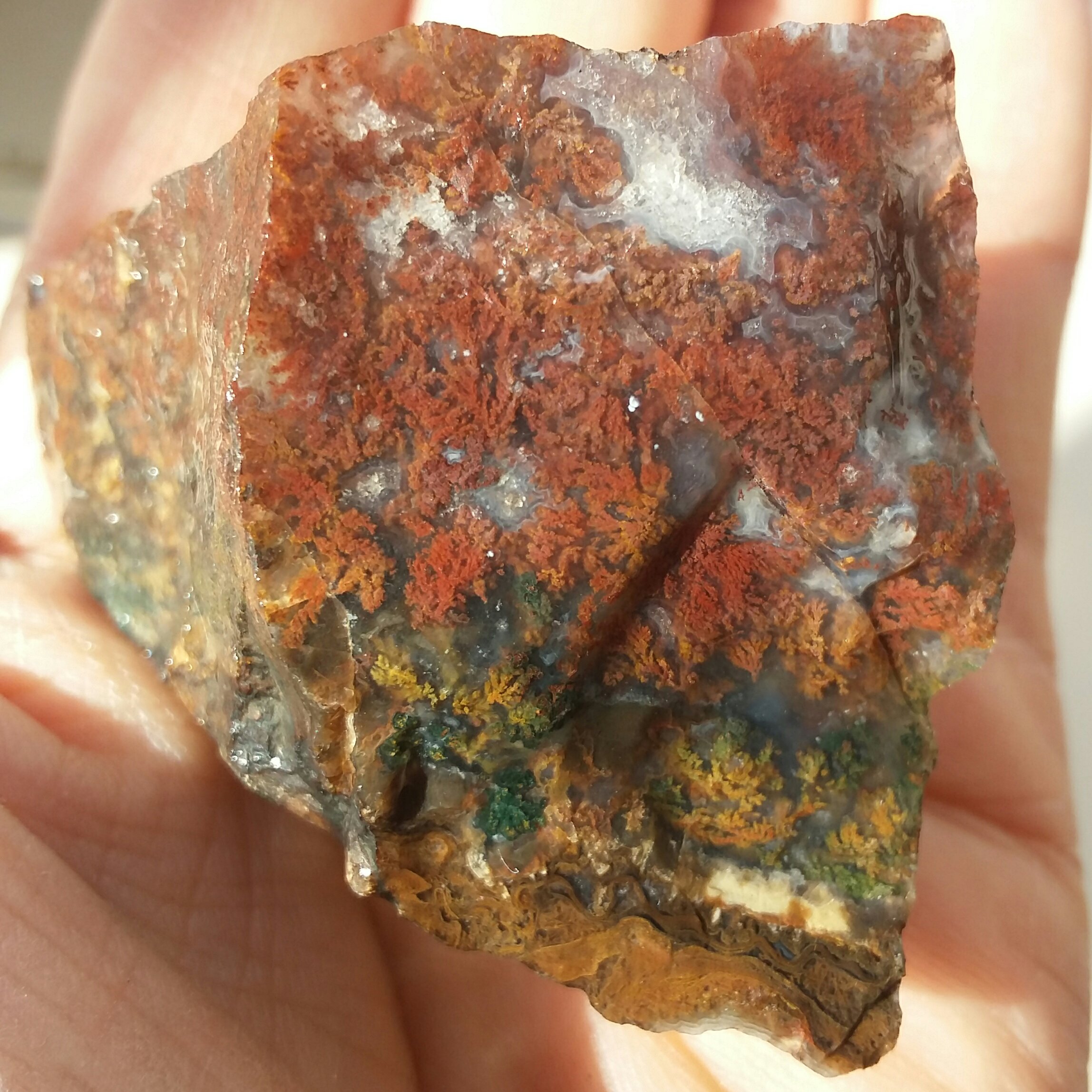 سنگ راف شجر منظره 7رنگ دیدنی کاملا طبیعی شاهکار خلقت بی نظیییر محشر