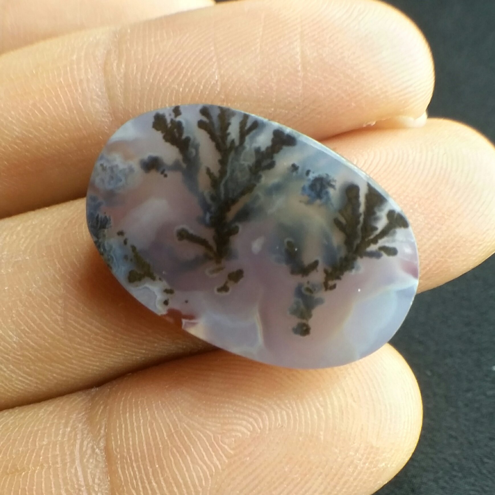 نگین شجر مشکی با زمینه سوسنی طبعی و بدون بهسازی خاص و بی نظیر با شجر های واضح