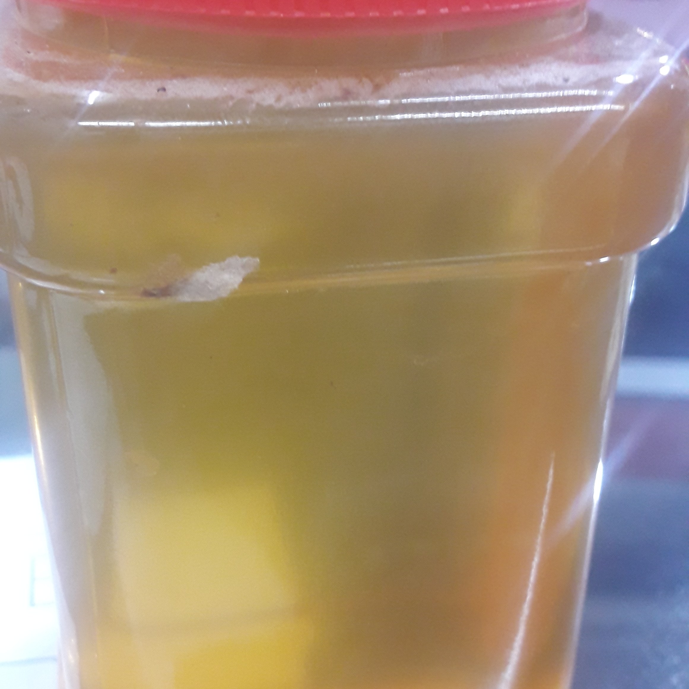 عسل خالص