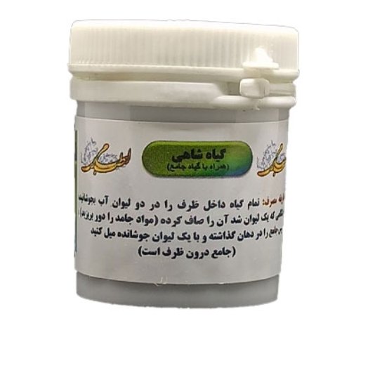 جامع با آب شاهی