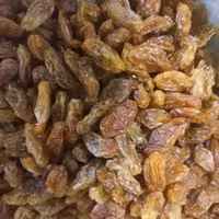 مویز گوشتی آفتابی