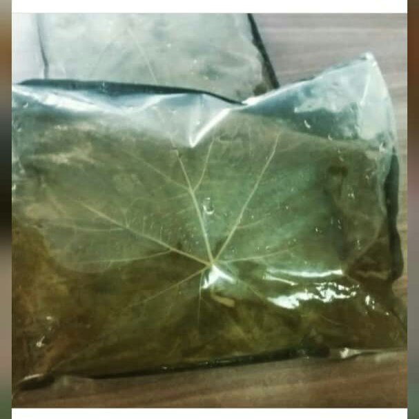 برگ مو