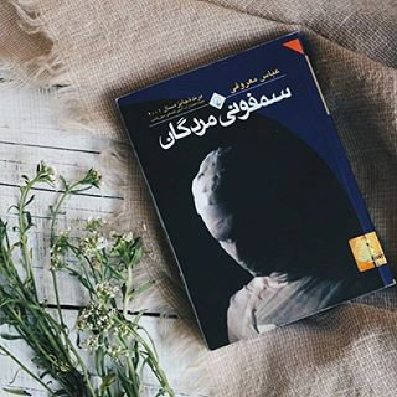 رمان الکترونیکی سمفونی مردگان