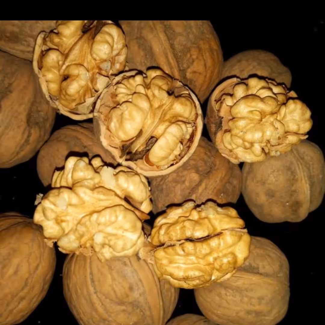 گردو اعلاء ایرانی درجه یک بدون پوچی و یکدست (1 کیلویی)