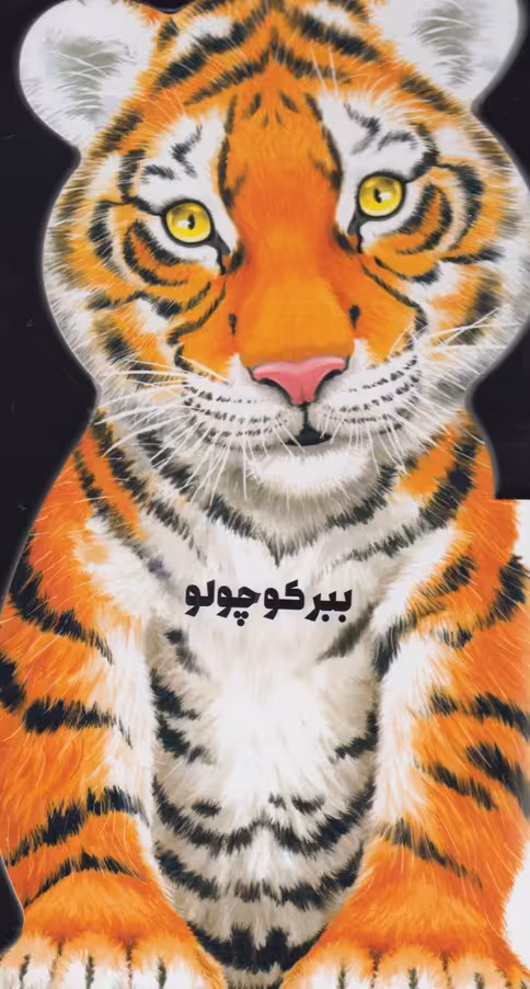 کتاب داستان زندگی خرگوش کوچولو اثر جیووانی کاویزل