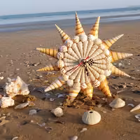 ساعت دیواری صدفی (1)