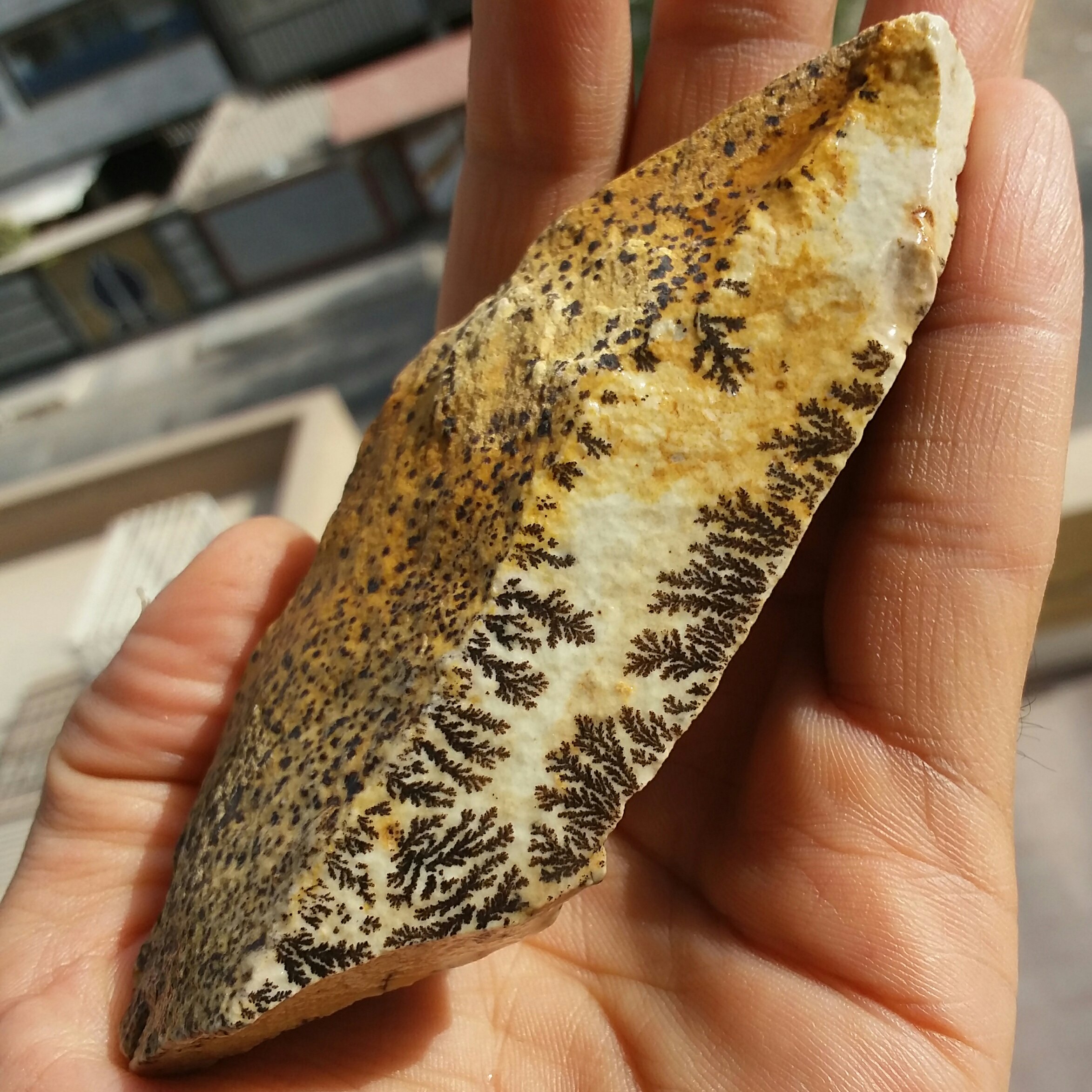 سنگ راف صد در صد طبیعی شجر دندریتی یا فسیلی محشر خاص زیبا شااااهکارر خلقت
شجر واضح بی نظیرر 