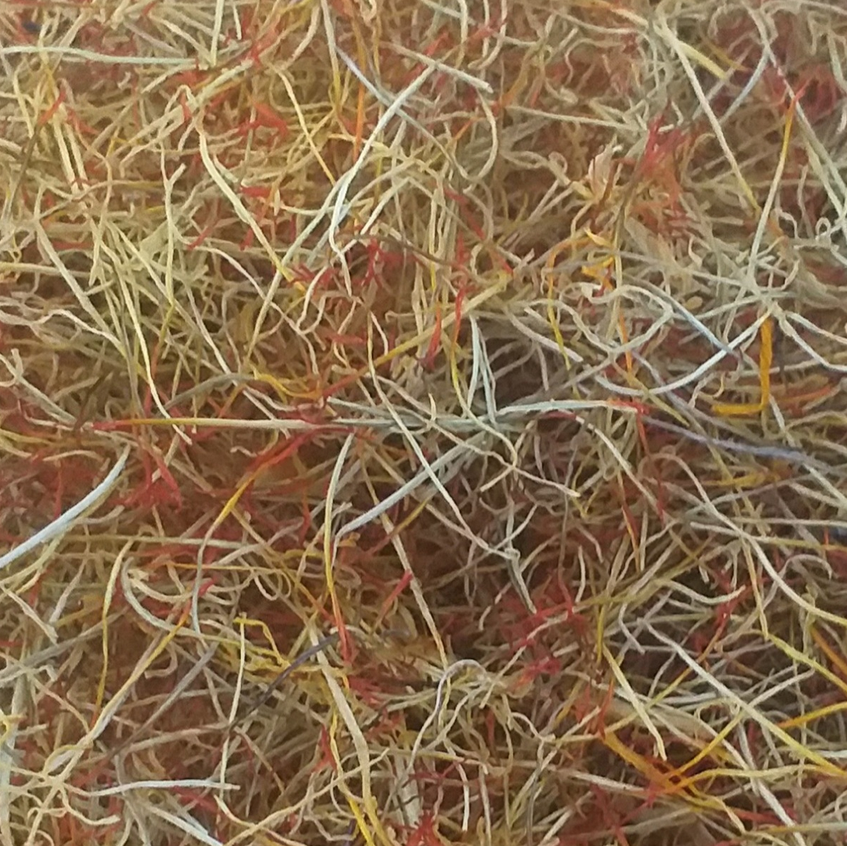 ریشه زعفران (سفیدی)
قسمت سفیدی زعفران که تمامی خواص را دارد فقط رنگ دهی ندارد