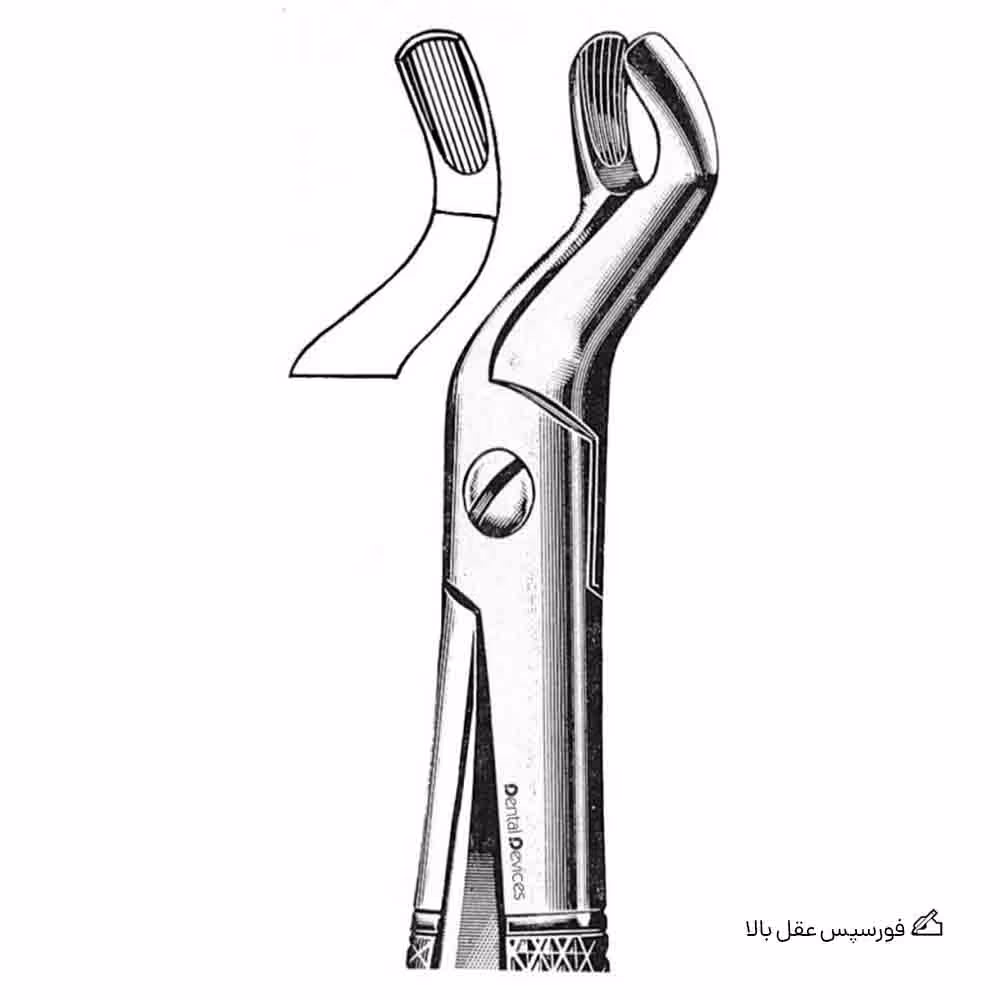 فورسپس عقل بالا