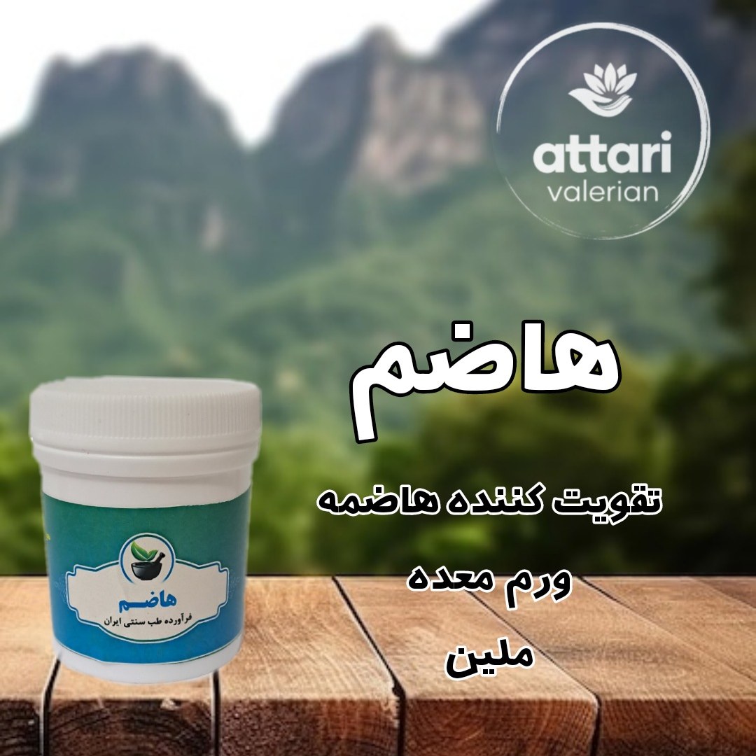 هاضم - کمک به هضم و جذب غذا