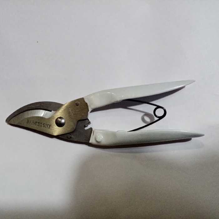 قیچی باغبانی 8 اینچ فولادی نوک خم