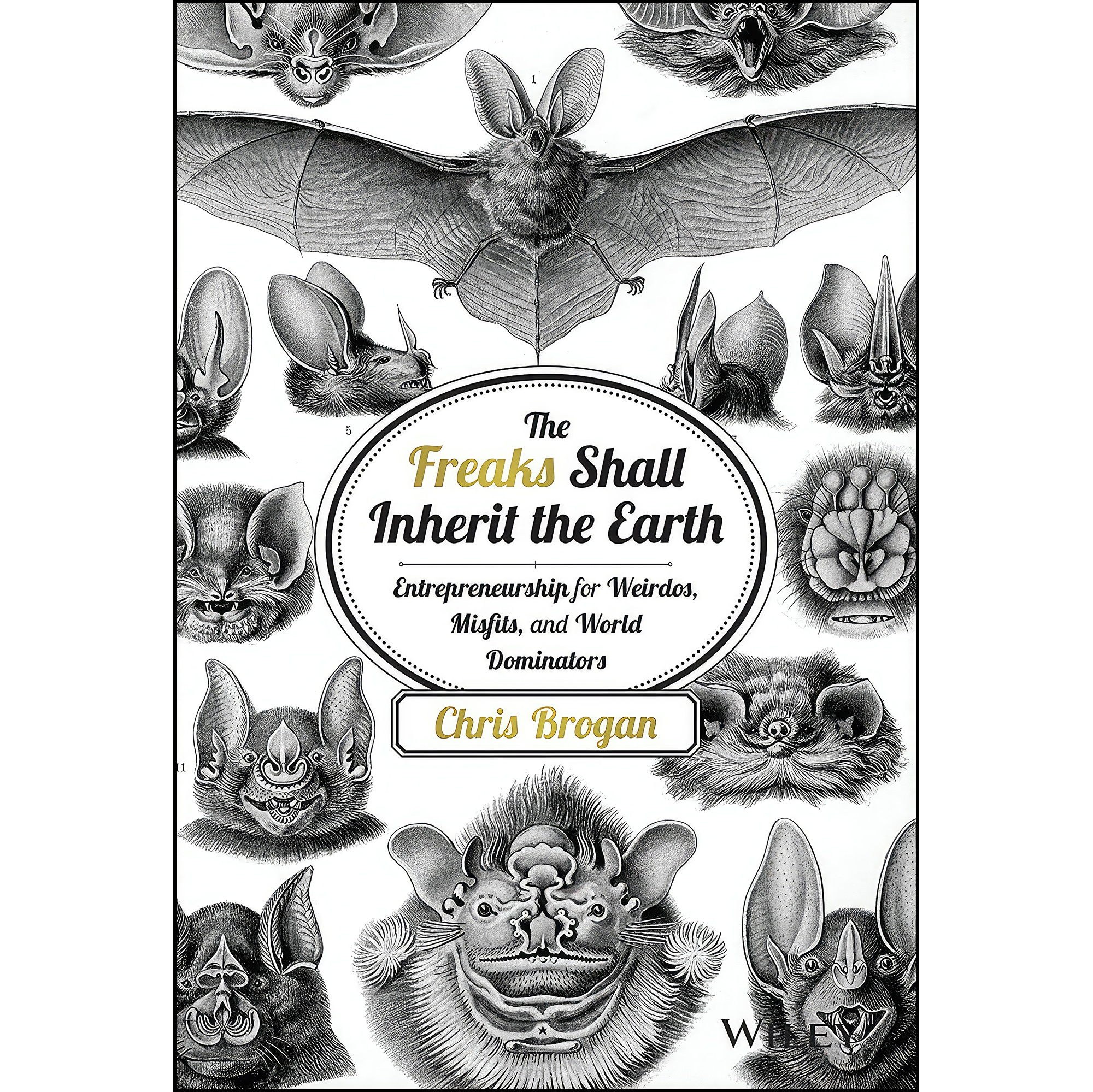 کتاب زبان اصلی The Freaks Shall Inherit the Earth اثر Chris Brogan