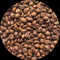 دانه قهوه روبوستا ویتنام