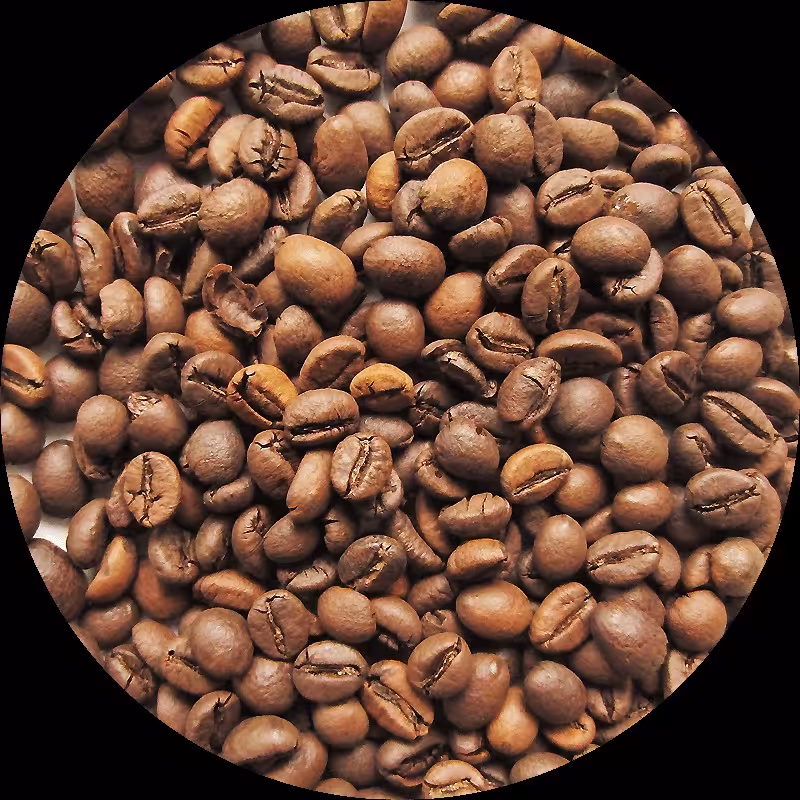 دانه قهوه روبوستا ویتنام